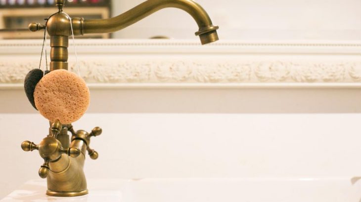 Places in home with the highest number of germs