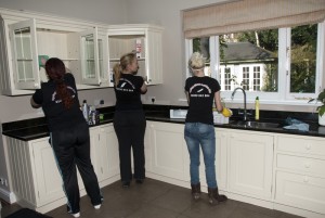 Regular Domestic Cleaning