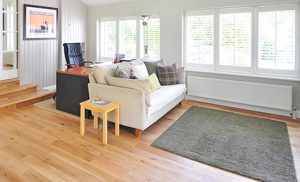 Carpet Cleaning
